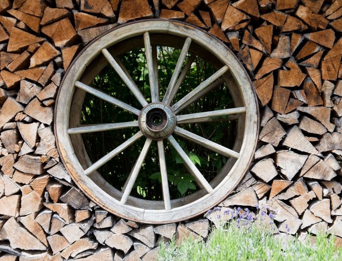 Hranice dřeva se starým kolem