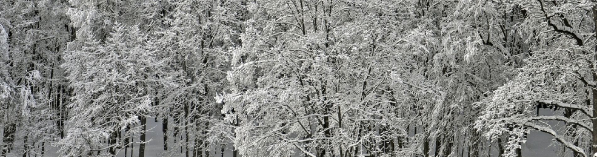 Autumn landscape around Pension Kaminek